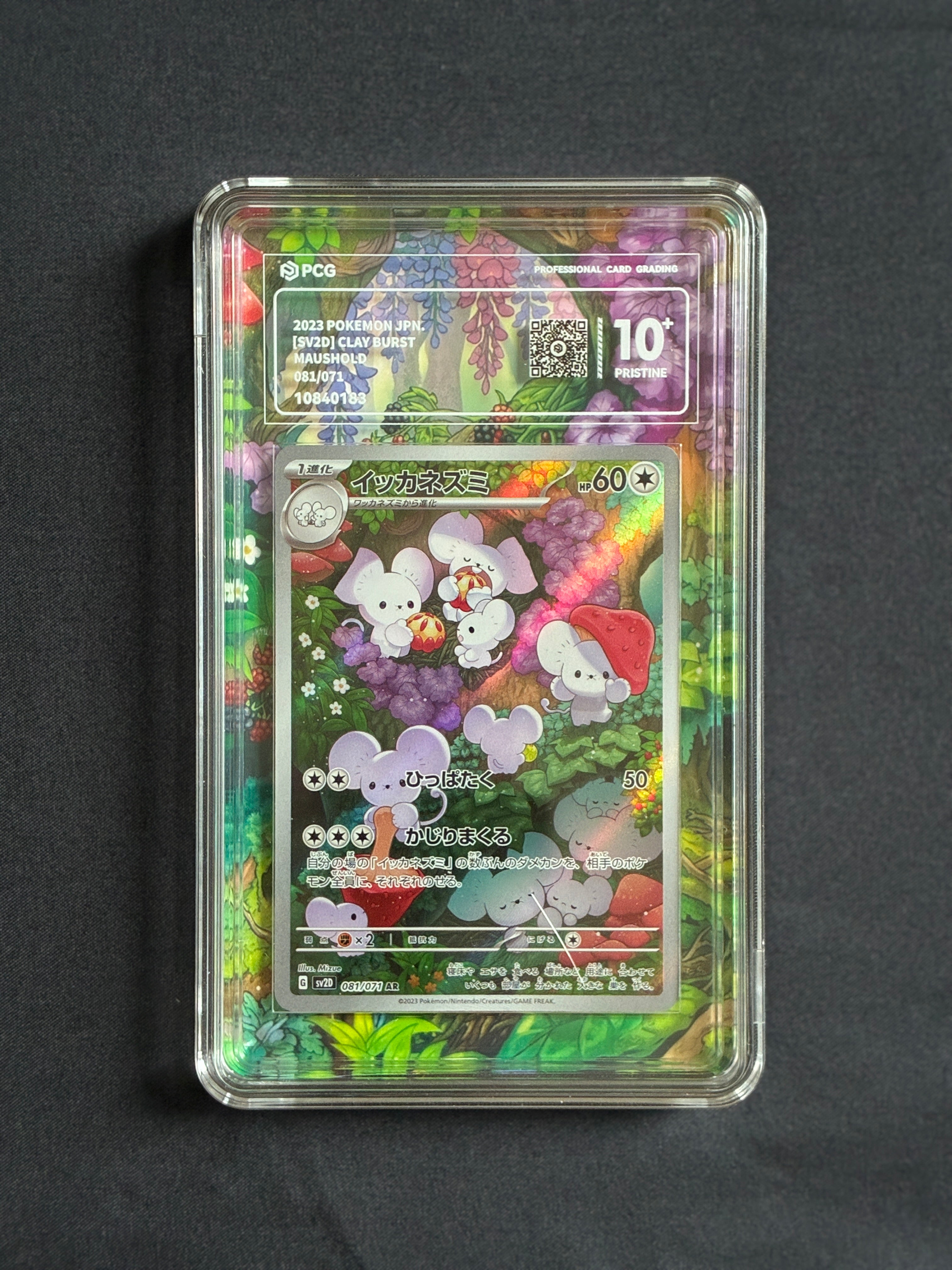 PCG Pristine 10 Maushold 081/071 Pokemon Clay Burst with Extended Art Frame
