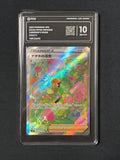 PCG 10 Gardena's Vigor 243/172 Pokemon Vstar Universe