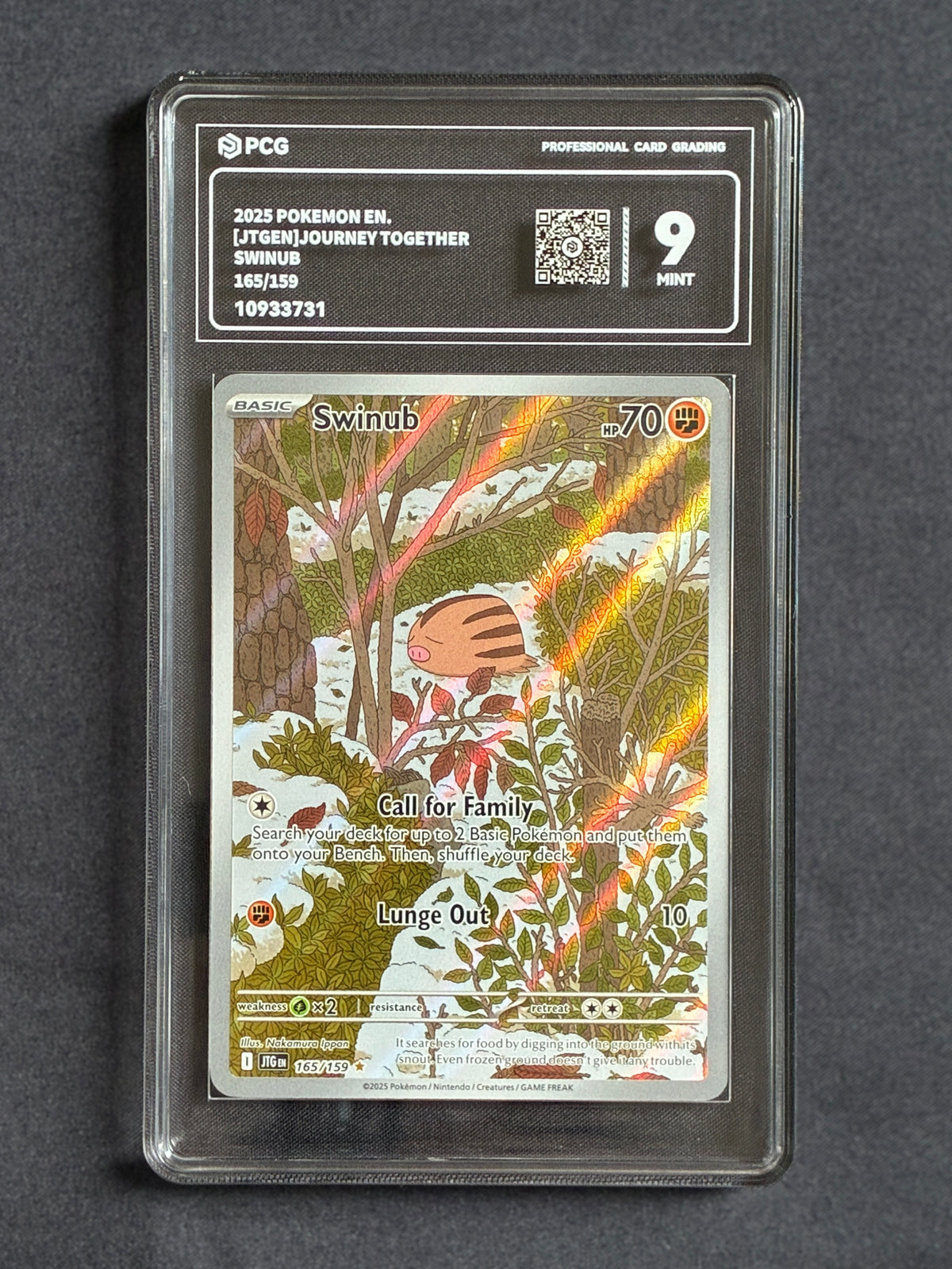 PCG 9 English Pokemon illustration rares on sale