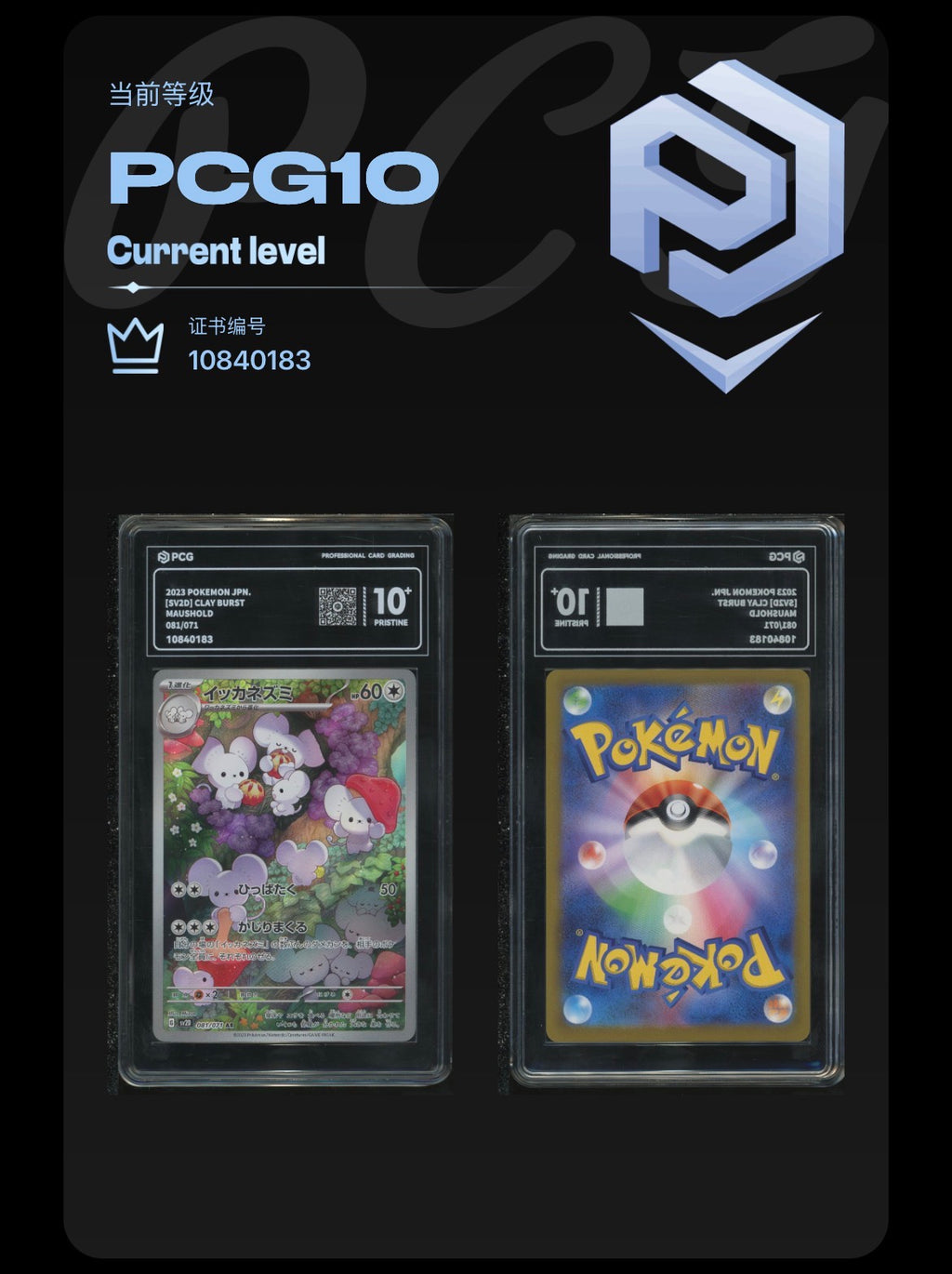 PCG Pristine 10 Maushold 081/071 Pokemon Clay Burst with Extended Art Frame