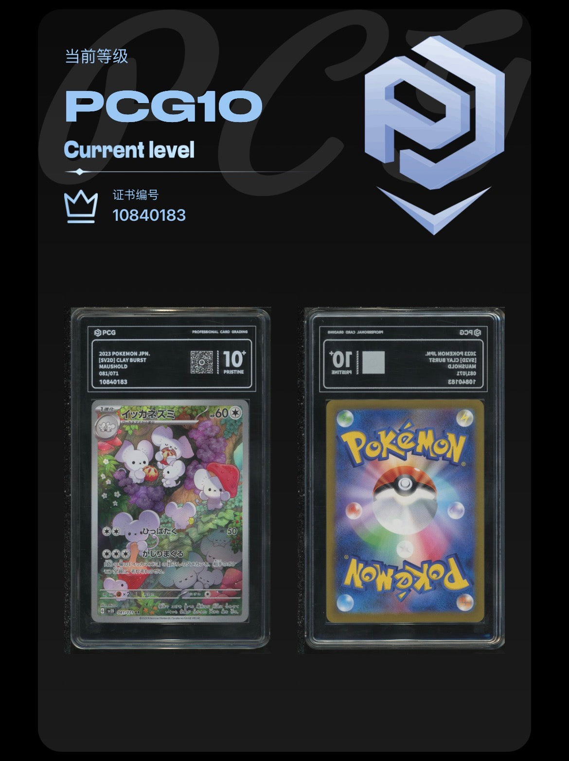 PCG Pristine 10 Maushold 081/071 Pokemon Clay Burst with Extended Art Frame
