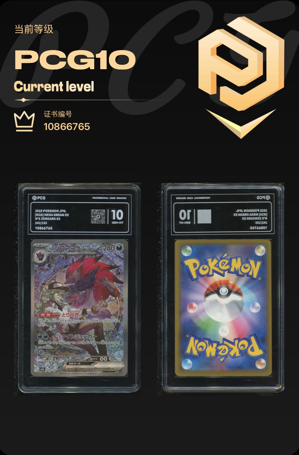 PCG 10 N's Zoroark 242/193 Pokemon Mega Dream EX