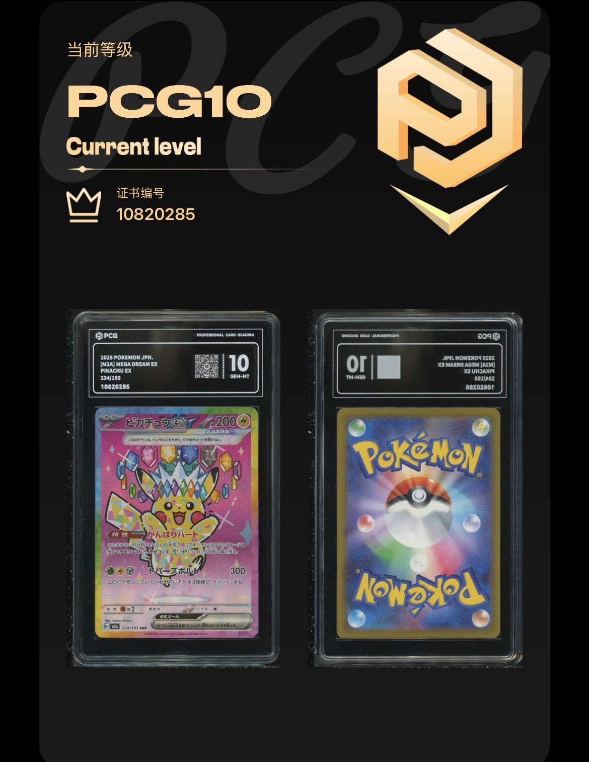 PCG 10 Pikachu Ex 234/193 Pokemon Mega Dream Ex