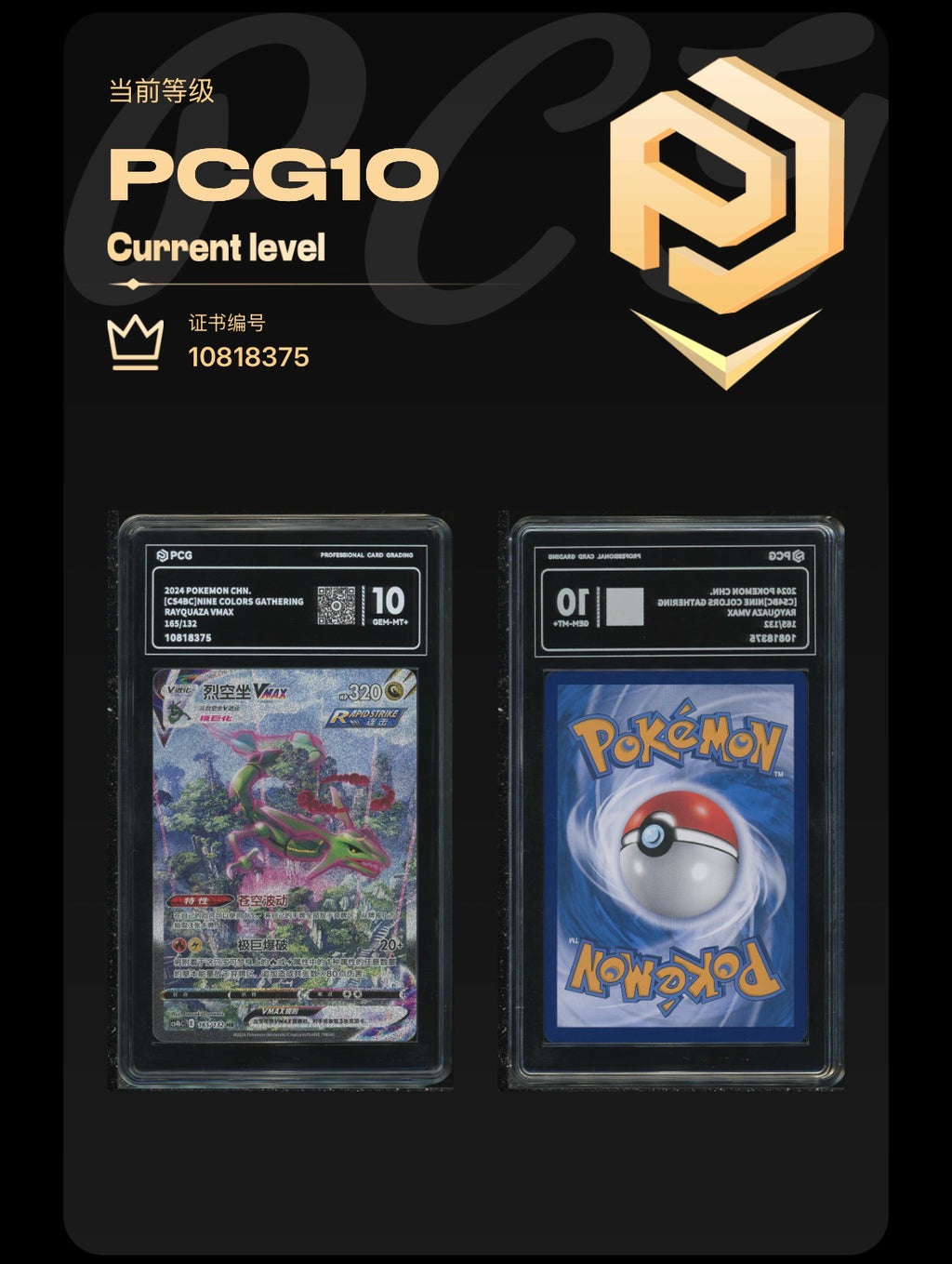 PCG Pristine 10 Rayquaza VMAX 165/132 S. Chinese Nine Colour Gathering