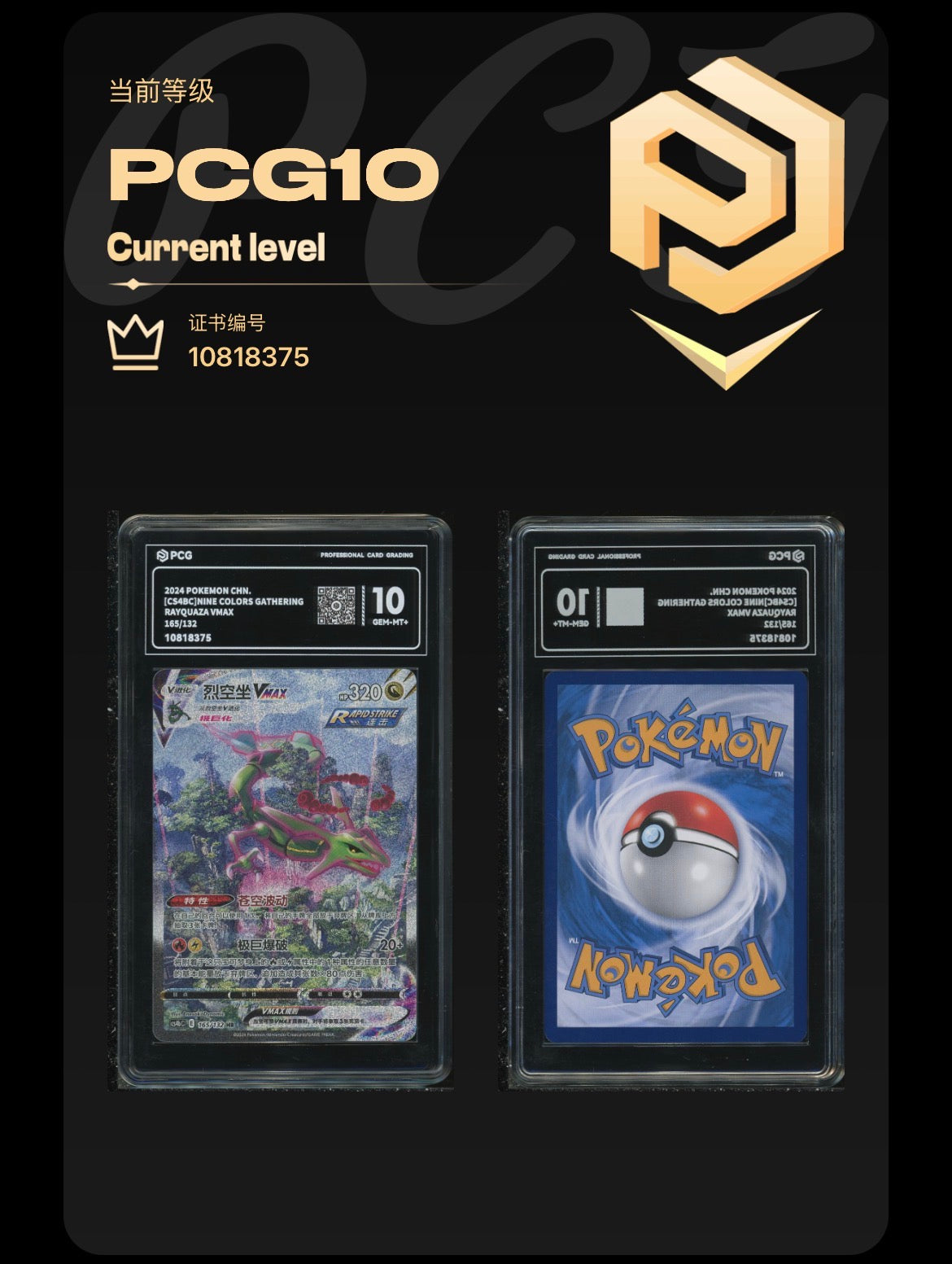 PCG Pristine 10 Rayquaza VMAX 165/132 S. Chinese Nine Colour Gathering
