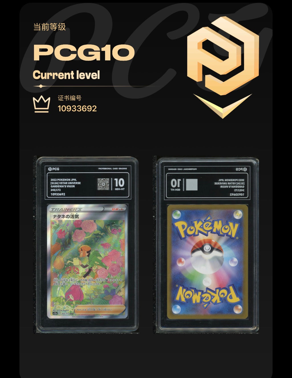 PCG 10 Gardena's Vigor 243/172 Pokemon Vstar Universe
