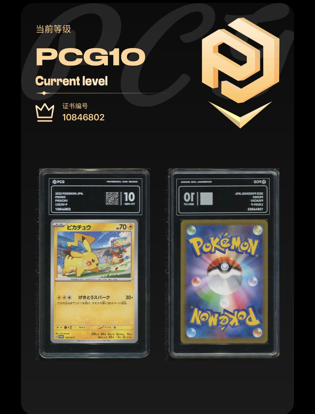 PCG 10 Pikachu 120/SV-P Pokemon GYM Promo with Extended Art Frame