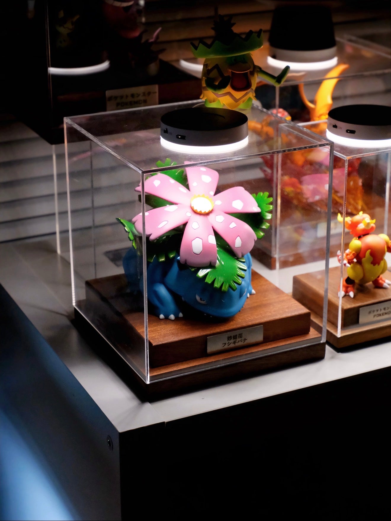 Pokemon Figure & Card Display Box with Custom Nameplate | Clear Acrylic TCG Showcase