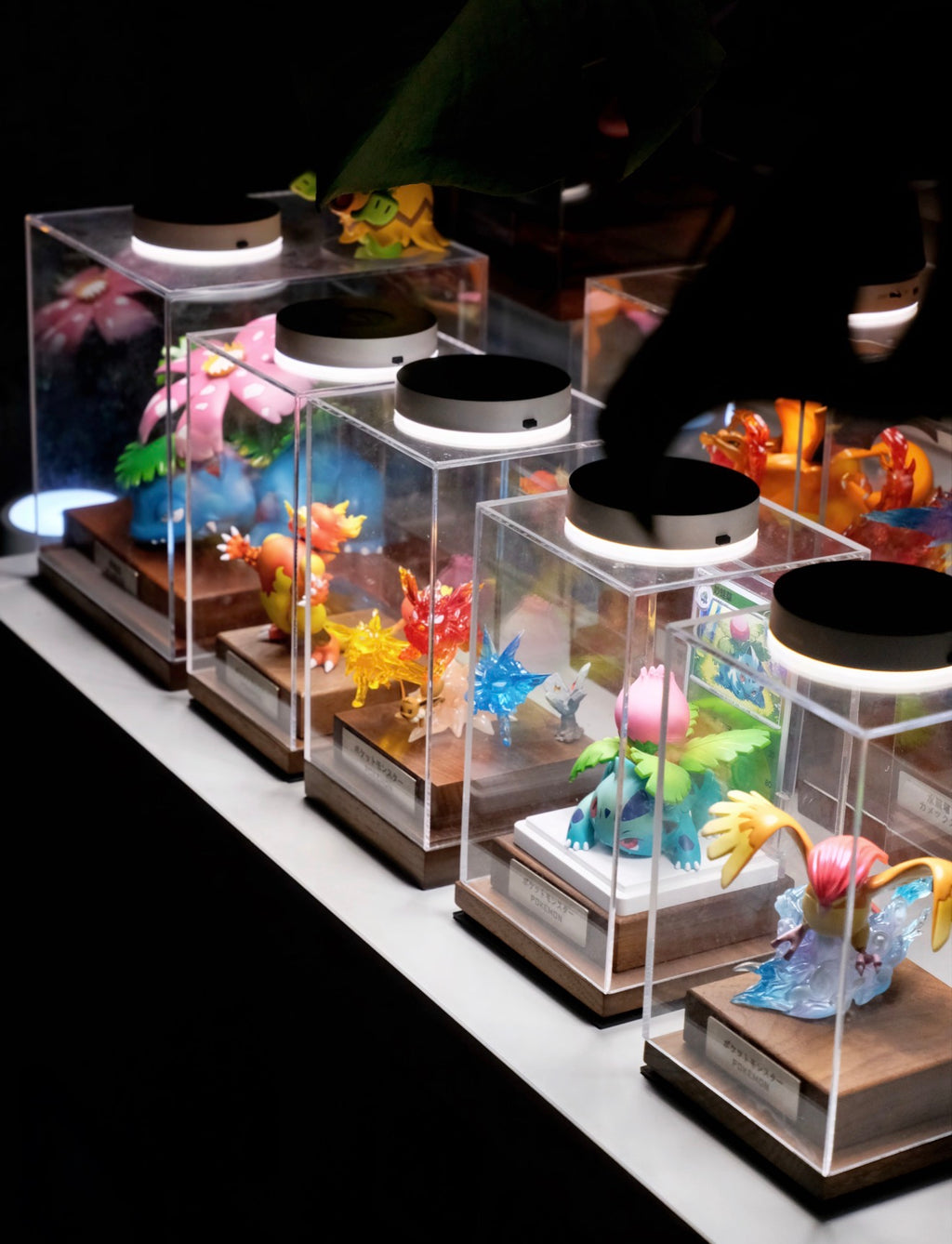 Pokemon Figure & Card Display Box with Custom Nameplate | Clear Acrylic TCG Showcase